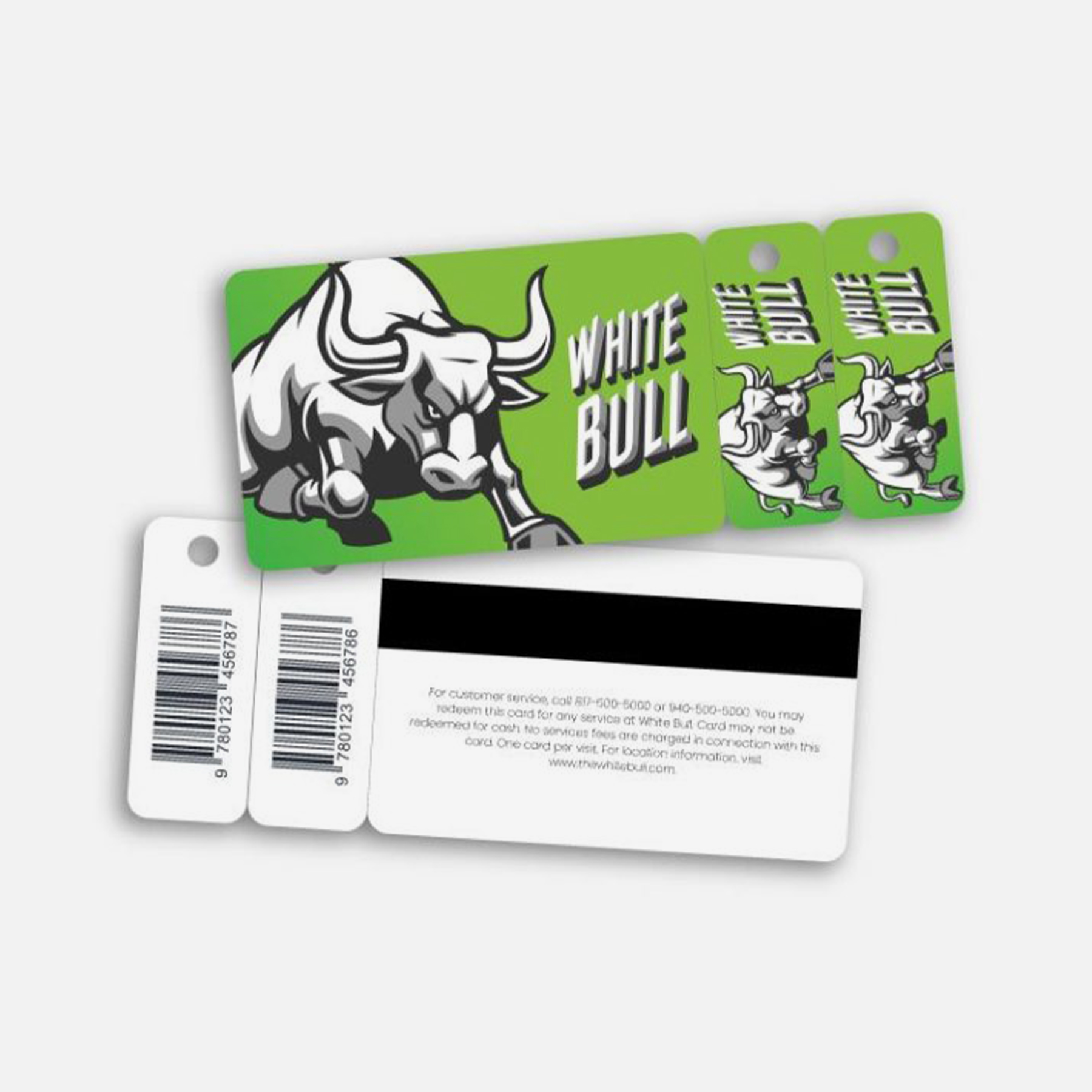 Plastic Card with 2 Key Tag
